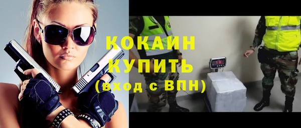 амф Осинники