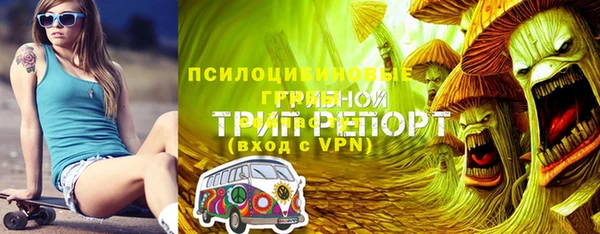 Альфа ПВП Остров