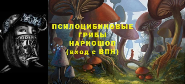 индика Балабаново