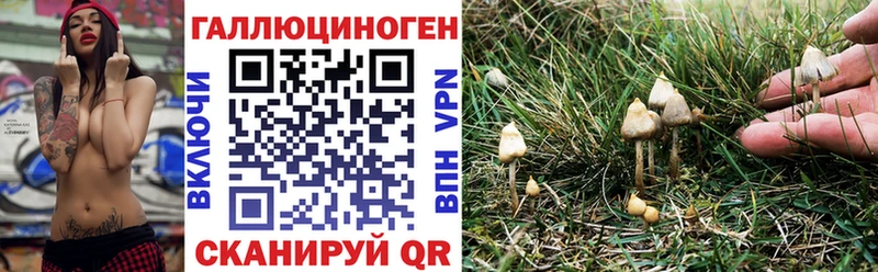 магазин наркотиков Динская Галлюциногенные грибы Psilocybe