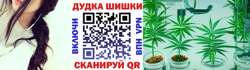 Шишки марихуана сатива Динская